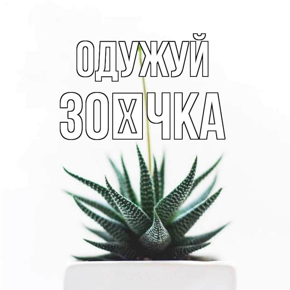Открытка на каждый день з підписом, Зоєчка Одужуй короче это непонятная колючка Прикольна листівка з побажанням онлайн скачати безкоштовно 