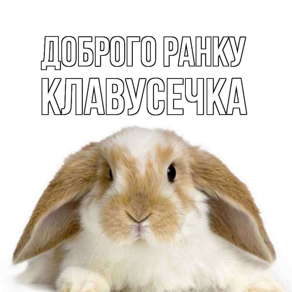 Открытка на каждый день з підписом, Клавусечка Доброго ранку прикольные открытки на каждый день Прикольна листівка з побажанням онлайн скачати безкоштовно 