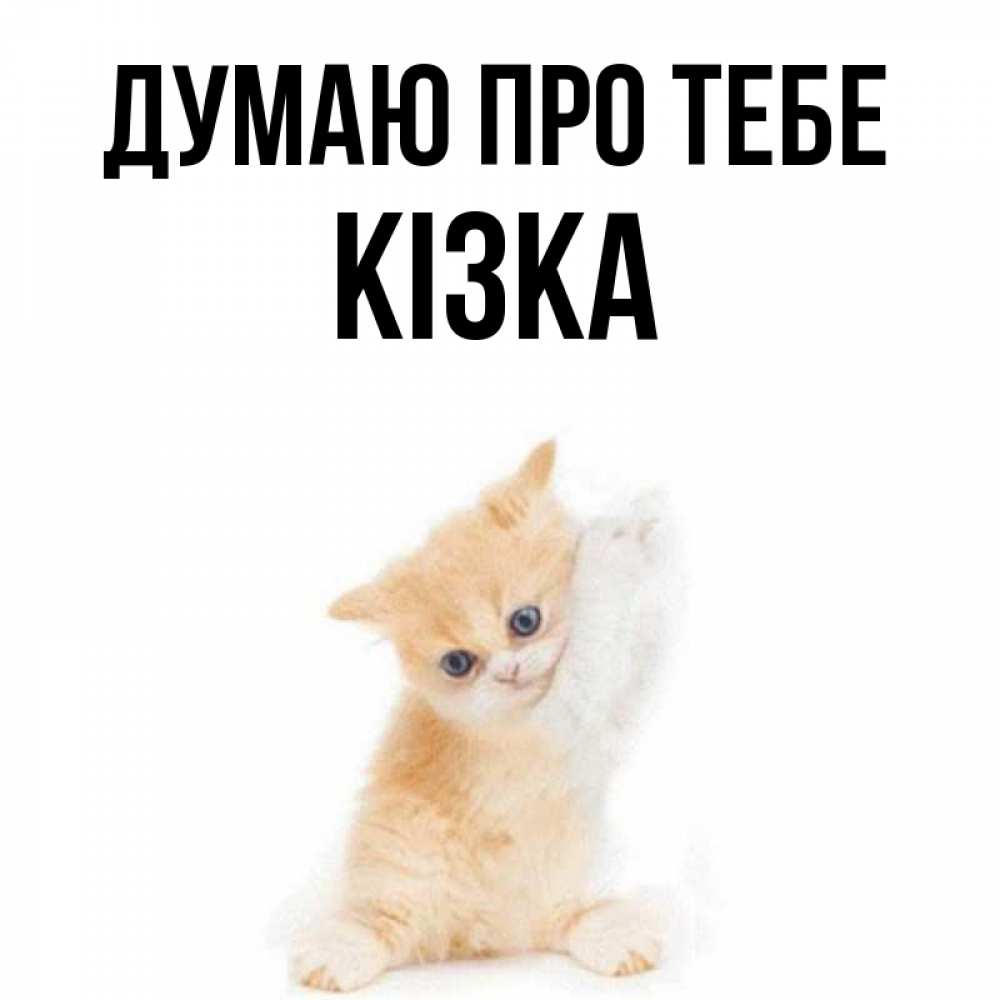 Открытка на каждый день з підписом, Кізка Думаю про тебе зверушки и милота Прикольна листівка з побажанням онлайн скачати безкоштовно 