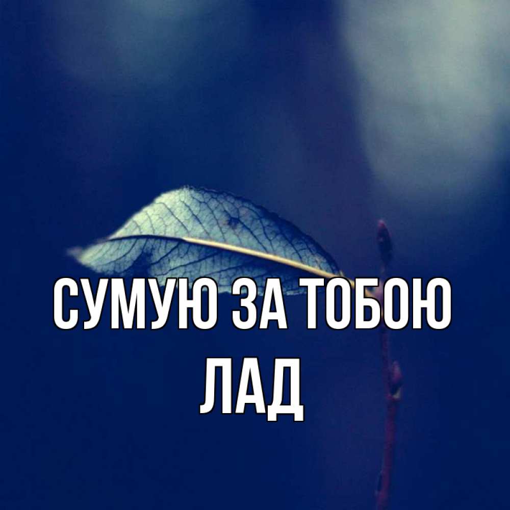 Открытка на каждый день з підписом, Лад Сумую за тобою одна ветка 1 Прикольна листівка з побажанням онлайн скачати безкоштовно 