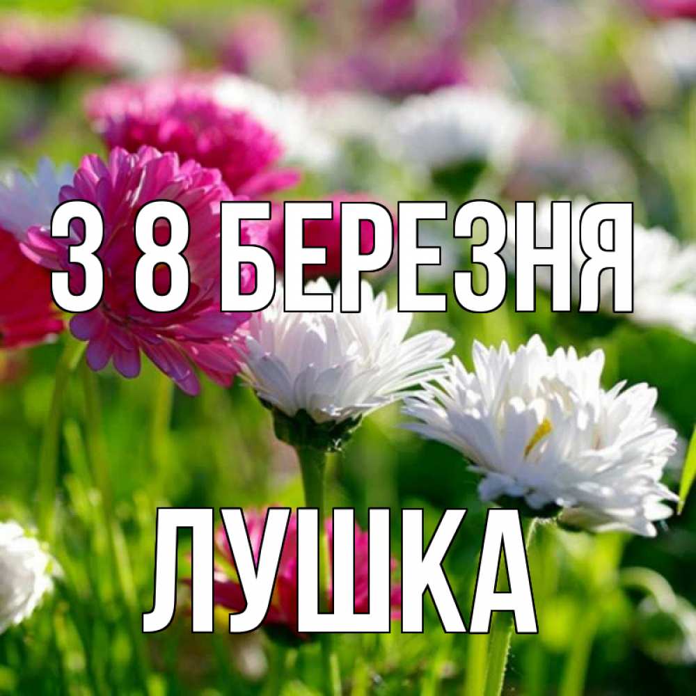 Открытка на каждый день з підписом, Лушка З 8 БЕРЕЗНЯ международный женский день 1 Прикольна листівка з побажанням онлайн скачати безкоштовно 