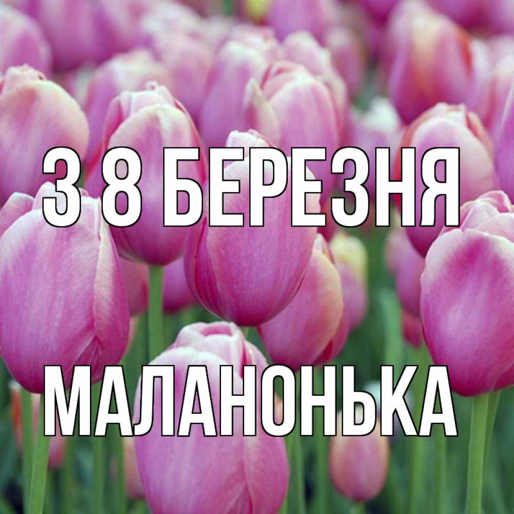 Открытка на каждый день з підписом, Маланонька З 8 БЕРЕЗНЯ на международный женский день 3 Прикольна листівка з побажанням онлайн скачати безкоштовно 