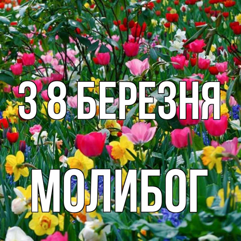 Открытка на каждый день з підписом, Молибог З 8 БЕРЕЗНЯ с международным женским днем поздравления для женщины Прикольна листівка з побажанням онлайн скачати безкоштовно 