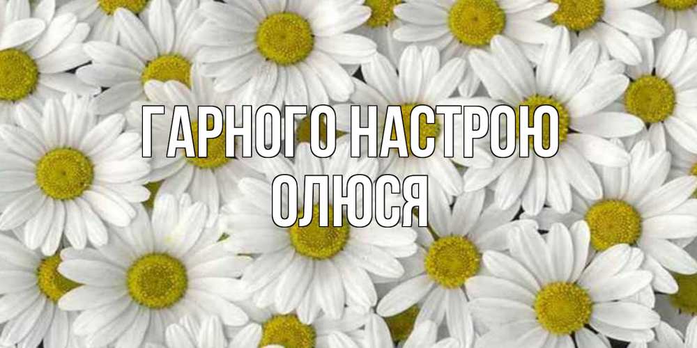 Открытка на каждый день з підписом, Олюся Гарного настрою поляна ромашек Прикольна листівка з побажанням онлайн скачати безкоштовно 