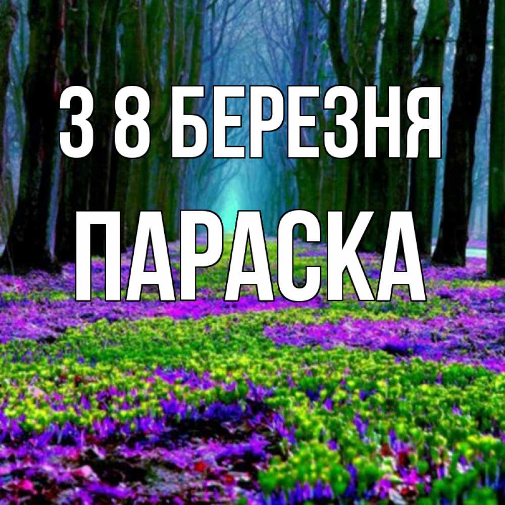 Открытка на каждый день з підписом, Параска З 8 БЕРЕЗНЯ фиолетовые цветы в лесу 1 Прикольна листівка з побажанням онлайн скачати безкоштовно 