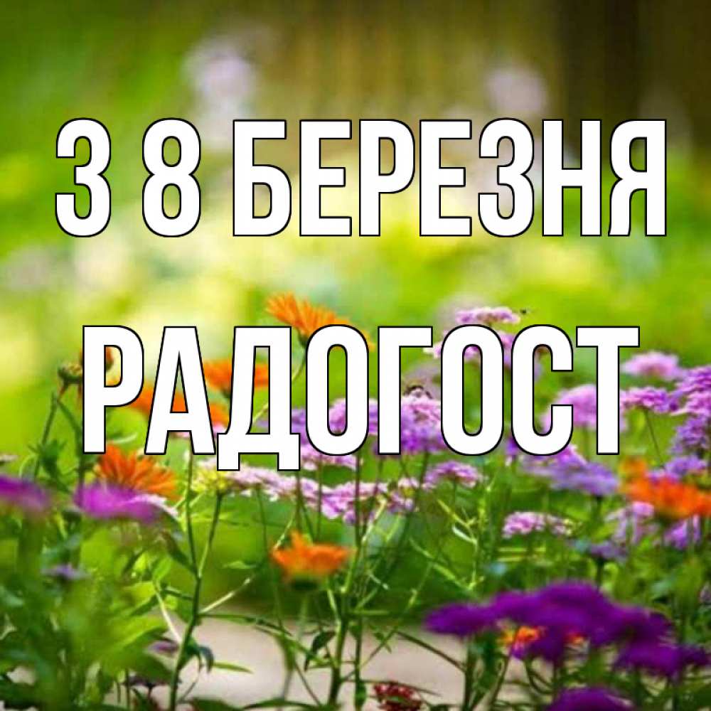 Открытка на каждый день з підписом, Радогост З 8 БЕРЕЗНЯ цветы Прикольна листівка з побажанням онлайн скачати безкоштовно 