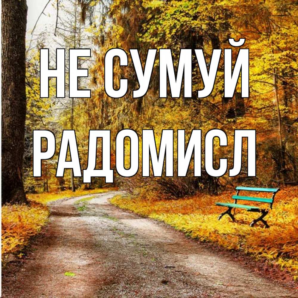 Открытка на каждый день з підписом, Радомисл Не сумуй зеленая лавочка Прикольна листівка з побажанням онлайн скачати безкоштовно 