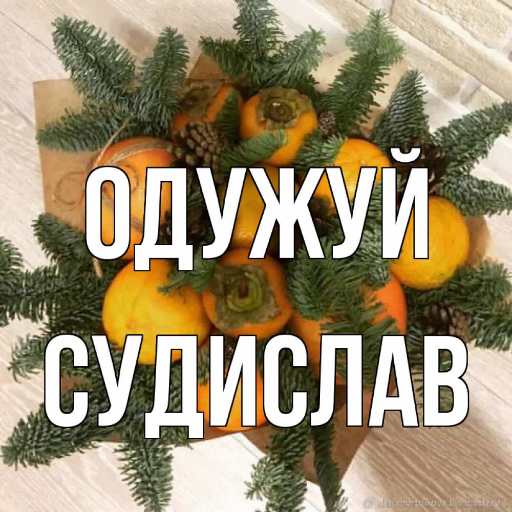 Открытка на каждый день з підписом, Судислав Одужуй апельсины и хурьма Прикольна листівка з побажанням онлайн скачати безкоштовно 