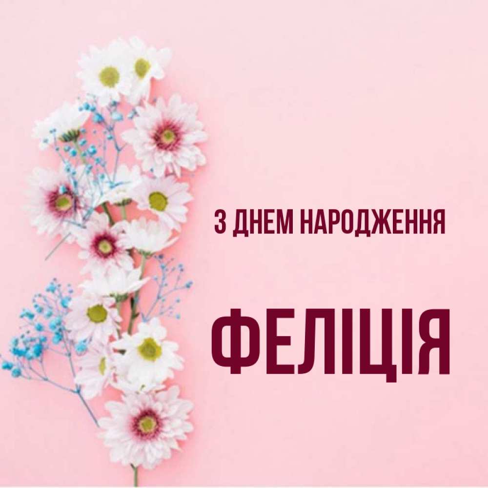 Открытка на каждый день з підписом, Феліція З Днем народження Родная моя с днем рождения тебя картинка с цветами белыми и голубыми Прикольна листівка з побажанням онлайн скачати безкоштовно 