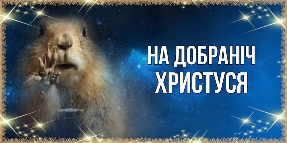 Открытка на каждый день з підписом, Христуся На добраніч спокойной ночи сладких снов Прикольна листівка з побажанням онлайн скачати безкоштовно 