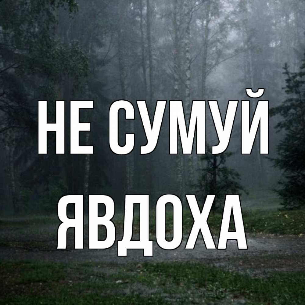 Открытка на каждый день з підписом, Явдоха Не сумуй осень Прикольна листівка з побажанням онлайн скачати безкоштовно 