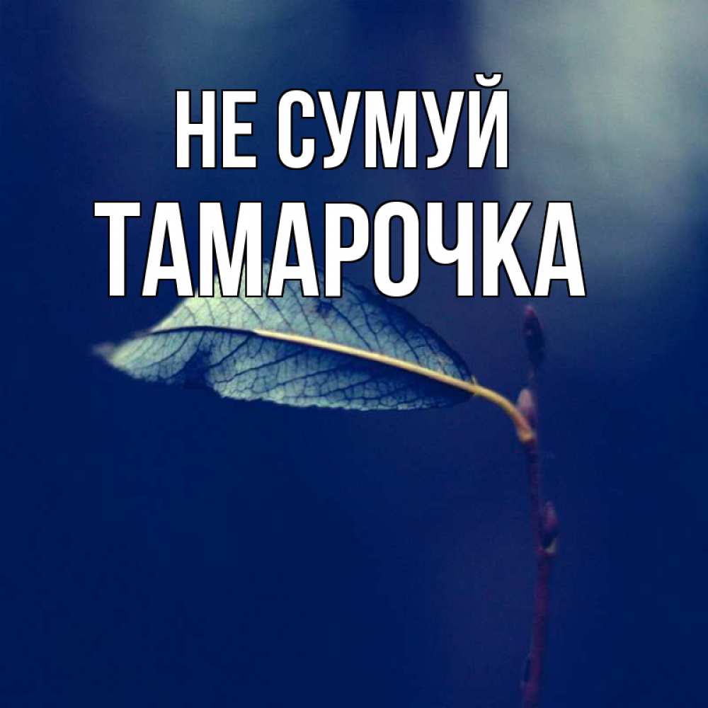 Открытка на каждый день з підписом, Тамарочка Не сумуй растение Прикольна листівка з побажанням онлайн скачати безкоштовно 