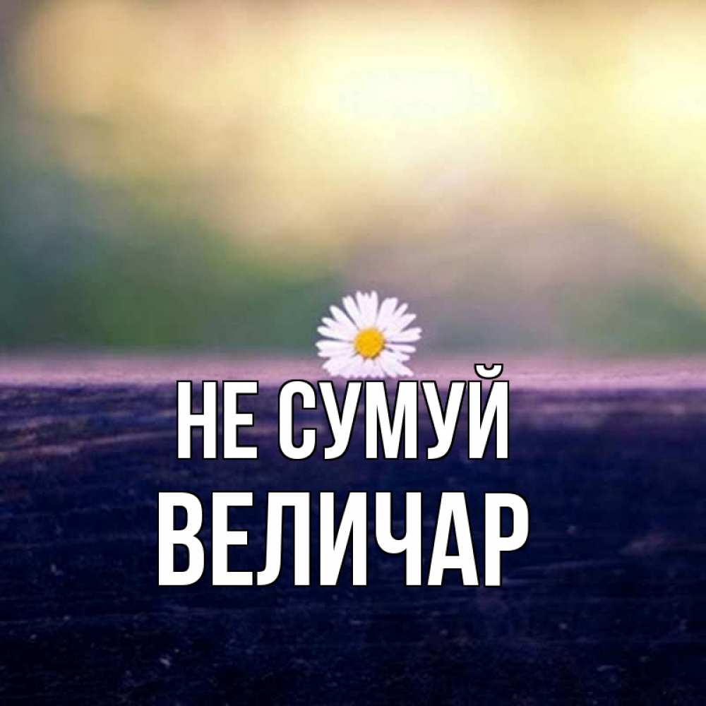 Открытка на каждый день з підписом, Величар Не сумуй красота Прикольна листівка з побажанням онлайн скачати безкоштовно 