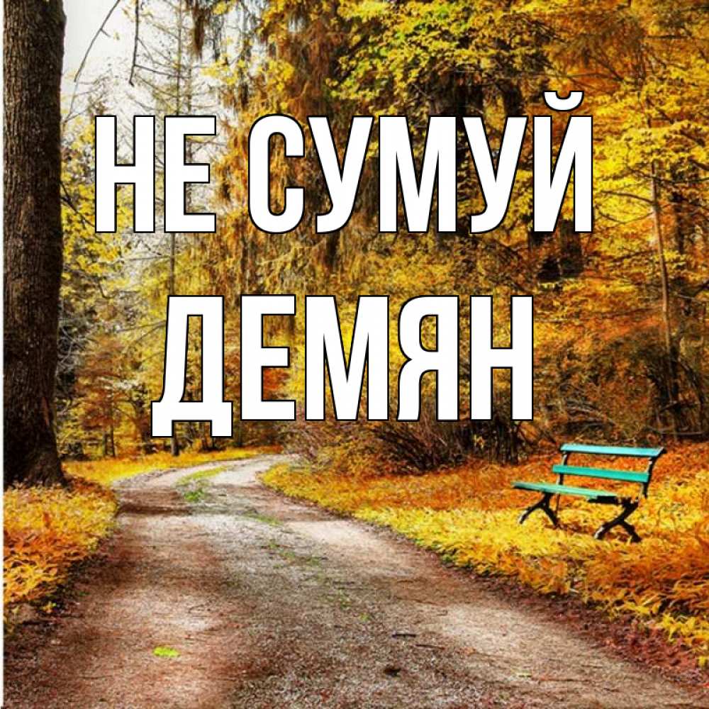 Открытка на каждый день з підписом, Демян Не сумуй зеленая лавочка Прикольна листівка з побажанням онлайн скачати безкоштовно 