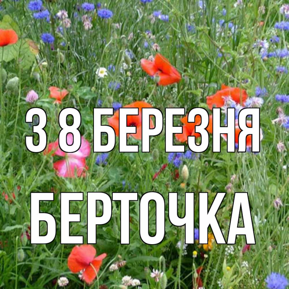 Открытка на каждый день з підписом, Берточка З 8 БЕРЕЗНЯ международный женский день 4 Прикольна листівка з побажанням онлайн скачати безкоштовно 