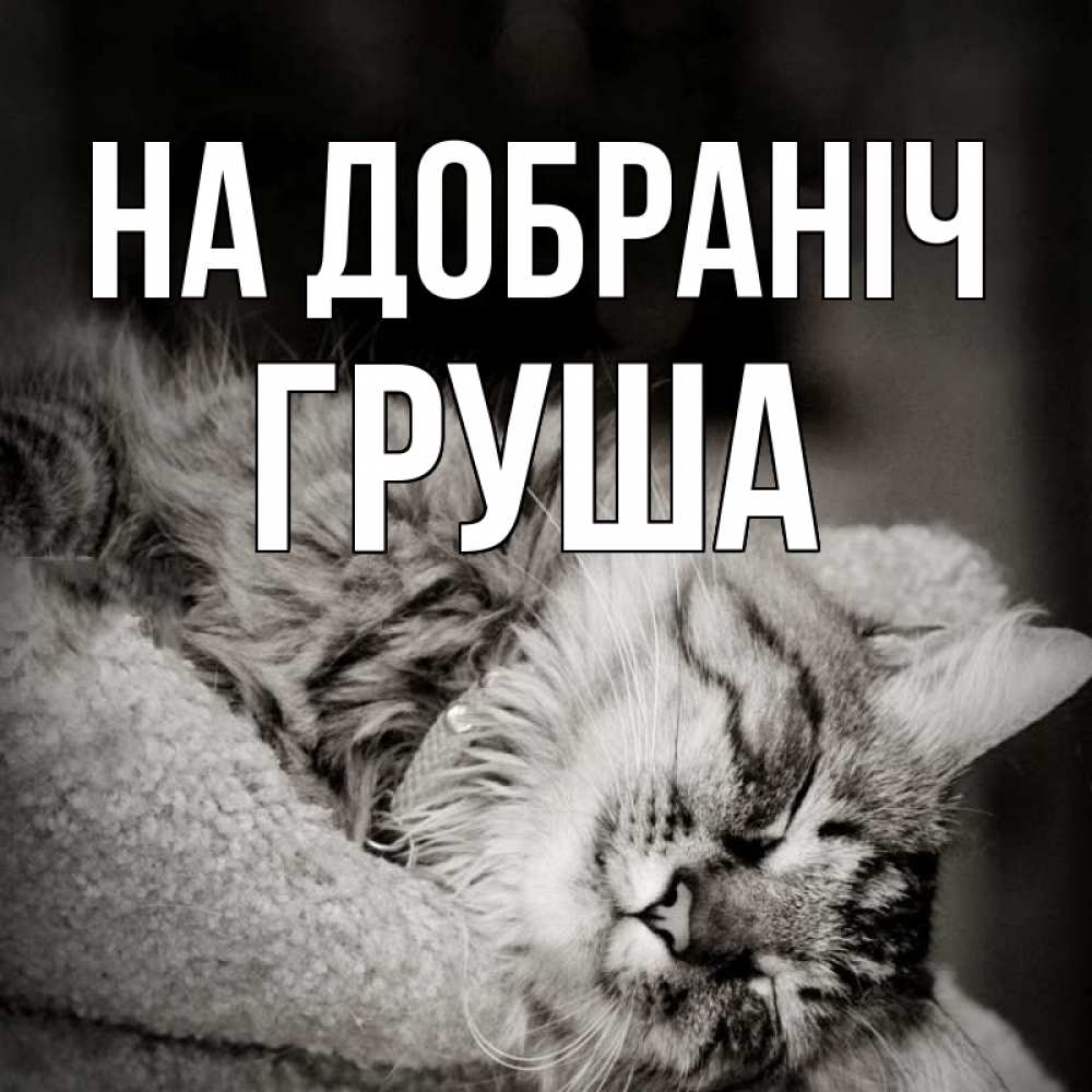 Открытка на каждый день з підписом, Груша На добраніч котярик пушистый Прикольна листівка з побажанням онлайн скачати безкоштовно 