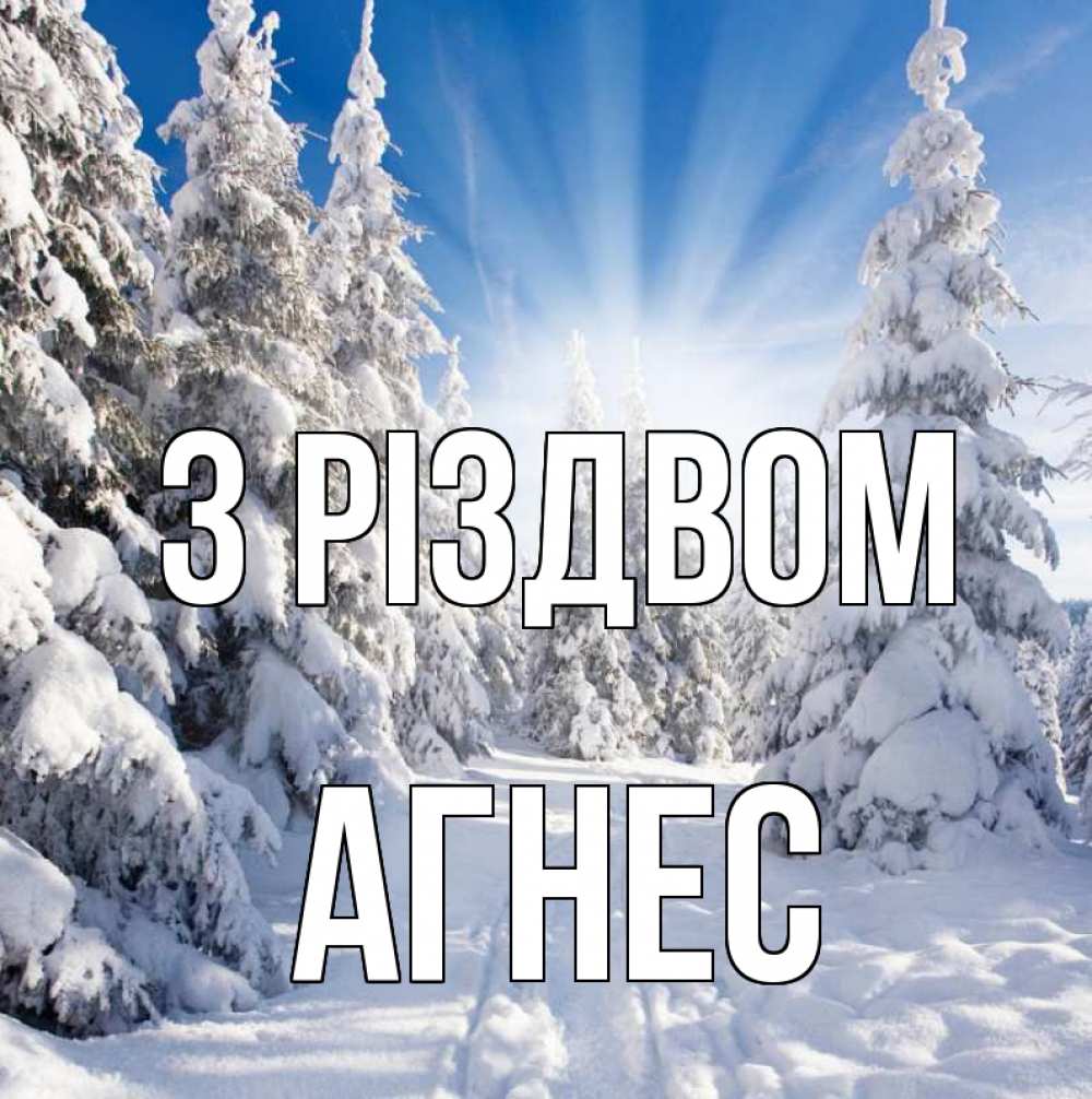 Открытка на каждый день з підписом, Агнес З Різдвом зима, лес Прикольна листівка з побажанням онлайн скачати безкоштовно 