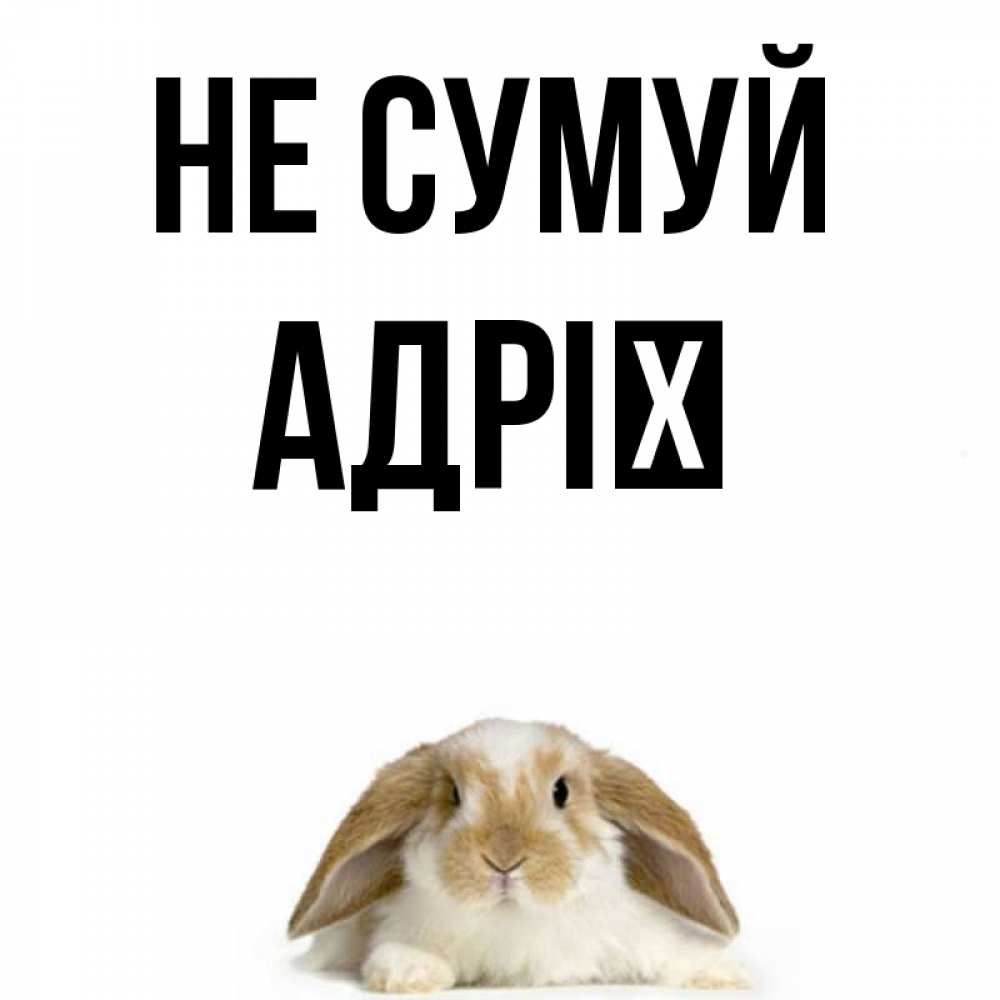Открытка на каждый день з підписом, Адрії Не сумуй коричнево белый заяц с большими ушками Прикольна листівка з побажанням онлайн скачати безкоштовно 
