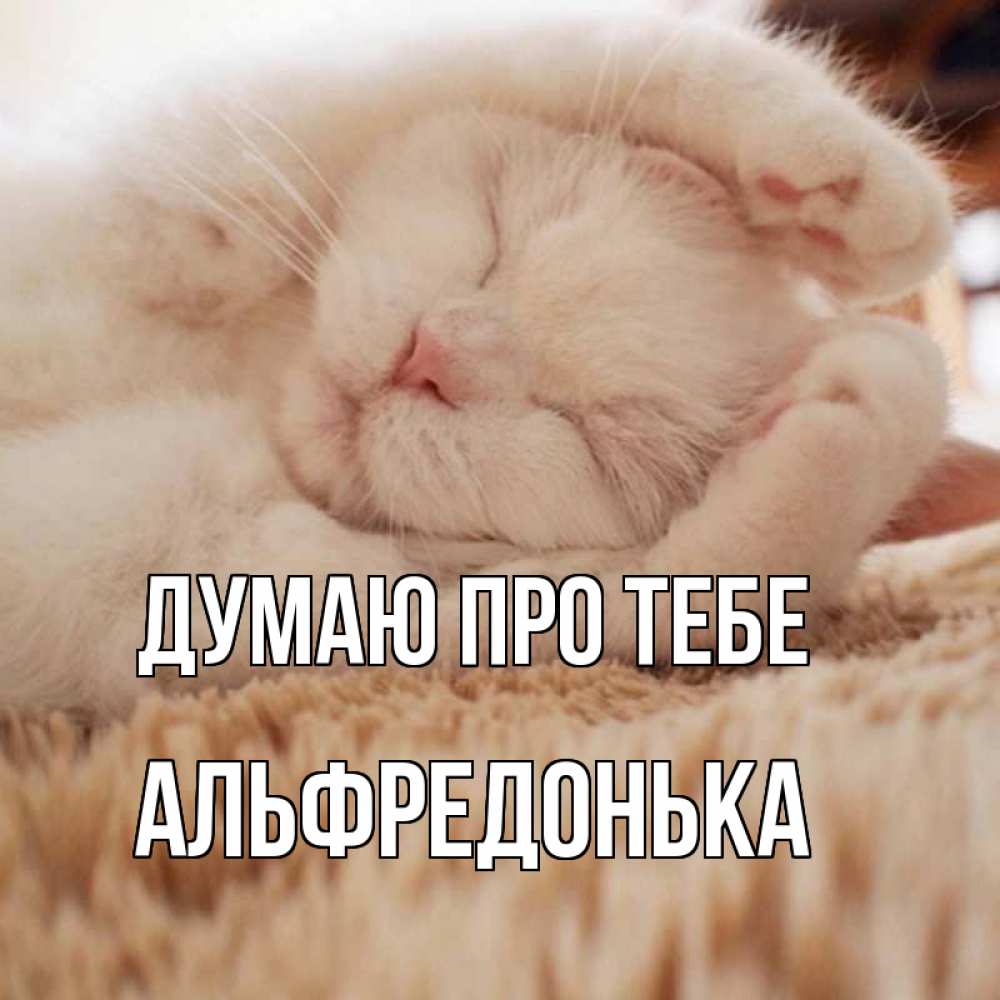 Открытка на каждый день з підписом, Альфредонька Думаю про тебе для любимой девушки милота Прикольна листівка з побажанням онлайн скачати безкоштовно 