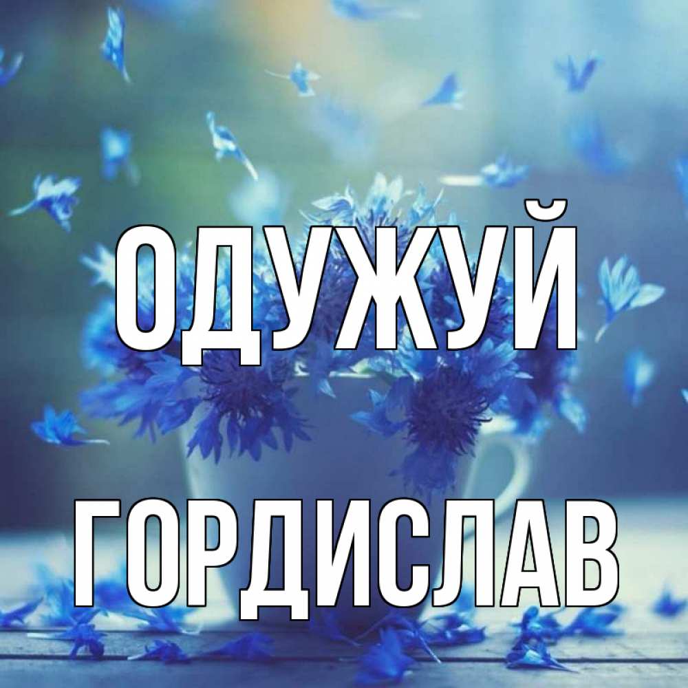 Открытка на каждый день з підписом, Гордислав Одужуй кружка с зельем и цветами Прикольна листівка з побажанням онлайн скачати безкоштовно 