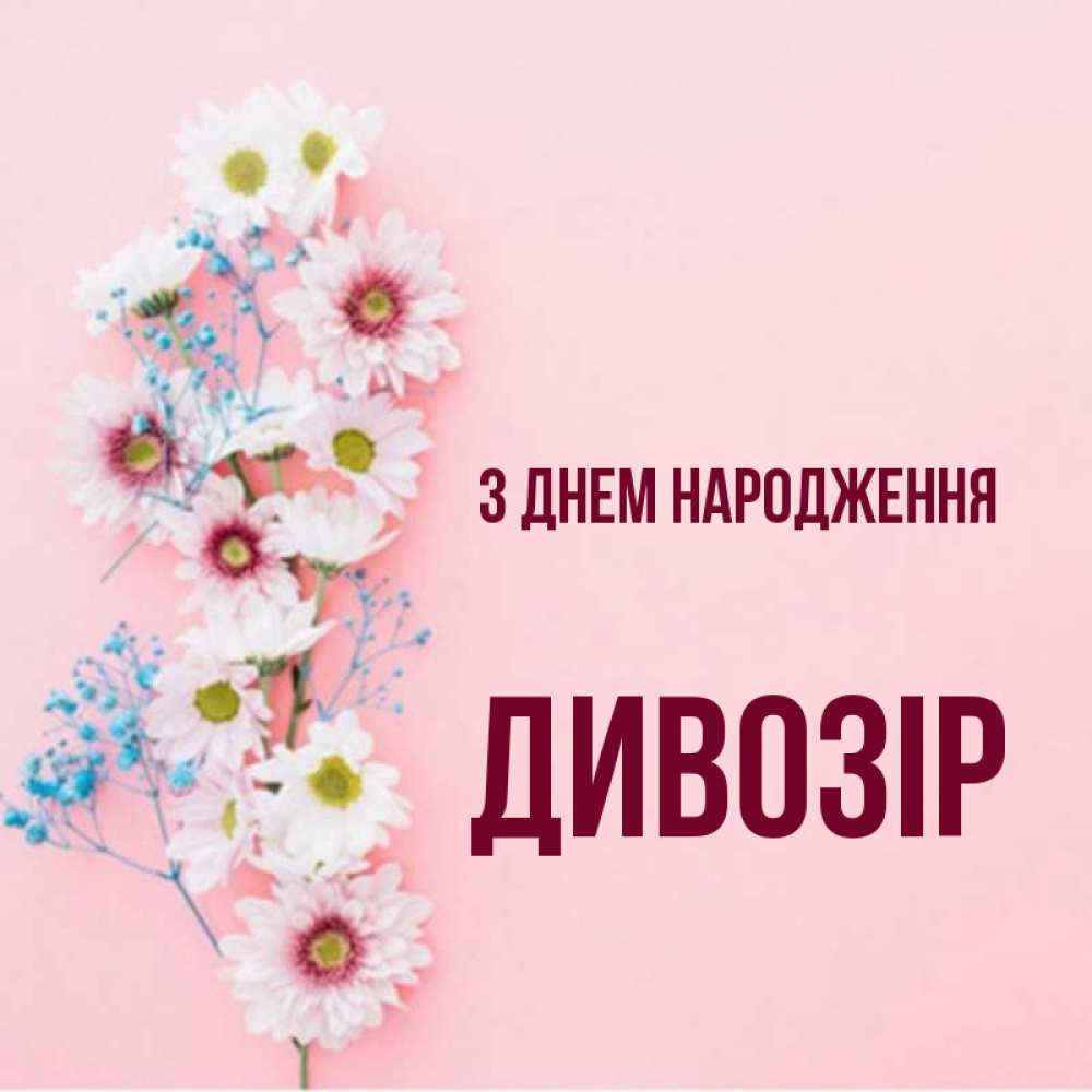 Открытка на каждый день з підписом, Дивозір З Днем народження Родная моя с днем рождения тебя картинка с цветами белыми и голубыми Прикольна листівка з побажанням онлайн скачати безкоштовно 