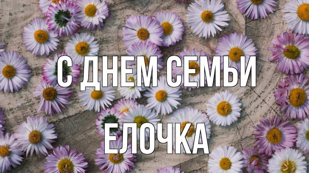 Открытка на каждый день з підписом, Елочка С днем семьи с днем семьи Прикольна листівка з побажанням онлайн скачати безкоштовно 