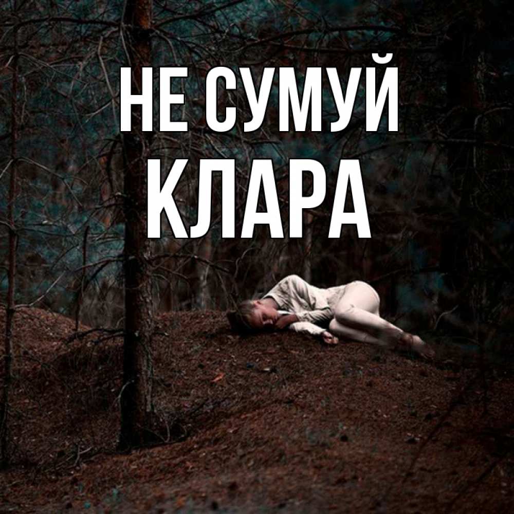 Открытка на каждый день з підписом, Клара Не сумуй лес Прикольна листівка з побажанням онлайн скачати безкоштовно 