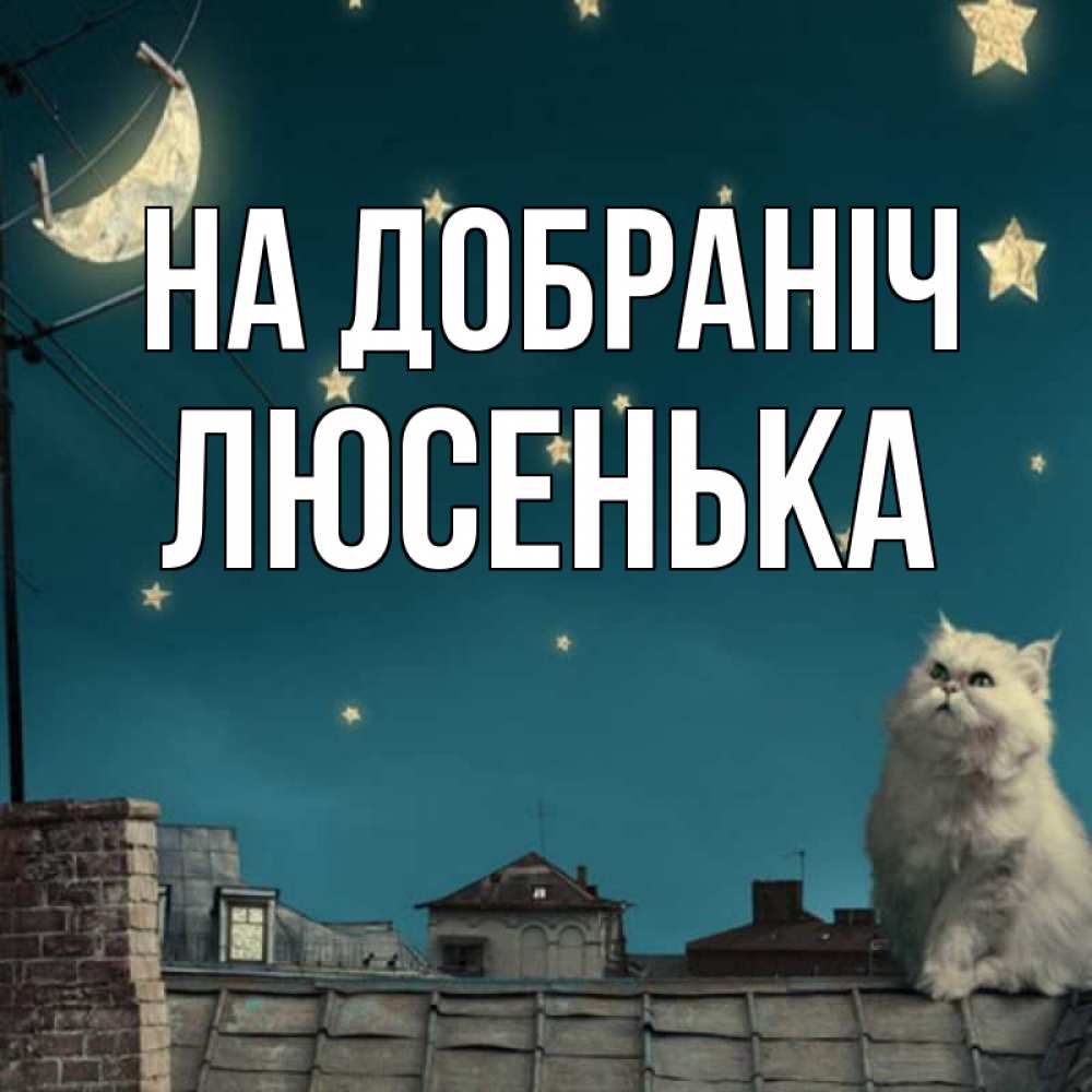 Открытка на каждый день з підписом, Люсенька На добраніч белый кот сидит на крыше Прикольна листівка з побажанням онлайн скачати безкоштовно 
