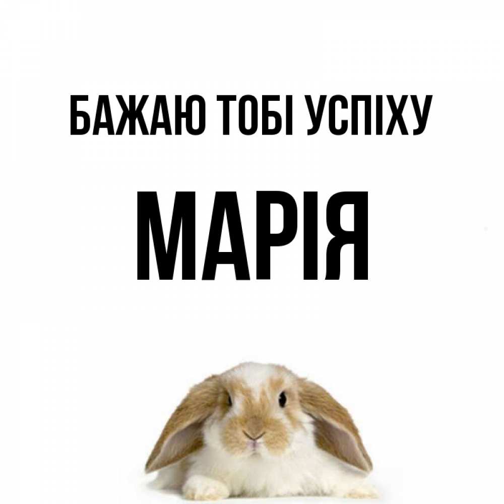 Открытка на каждый день з підписом, Марія Бажаю тобі успіху открытки с произвольным текстом который можно вставить в открытку и создать ее самостоятельно бесплатно онлайн Прикольна листівка з побажанням онлайн скачати безкоштовно 