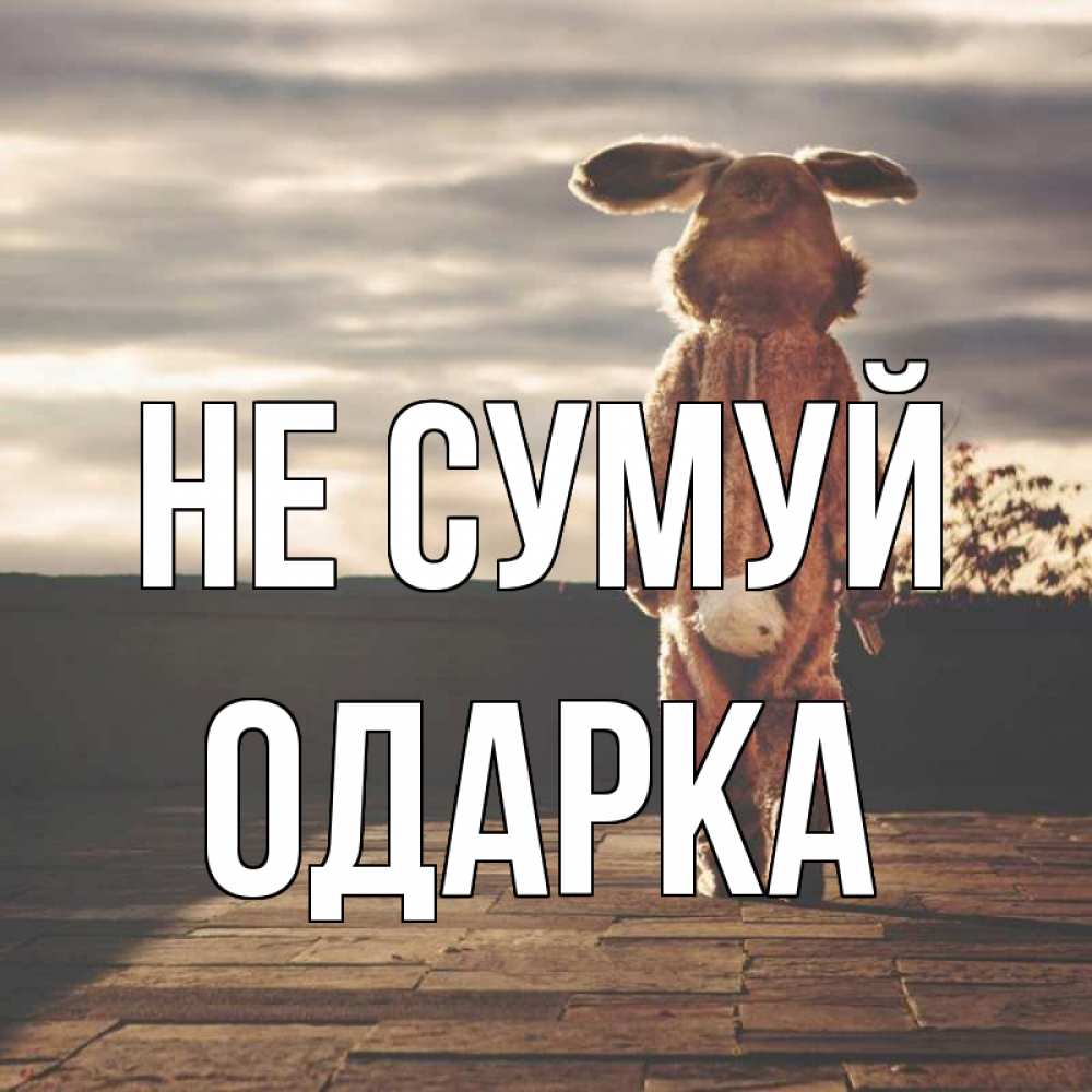 Открытка на каждый день з підписом, Одарка Не сумуй со спины Прикольна листівка з побажанням онлайн скачати безкоштовно 