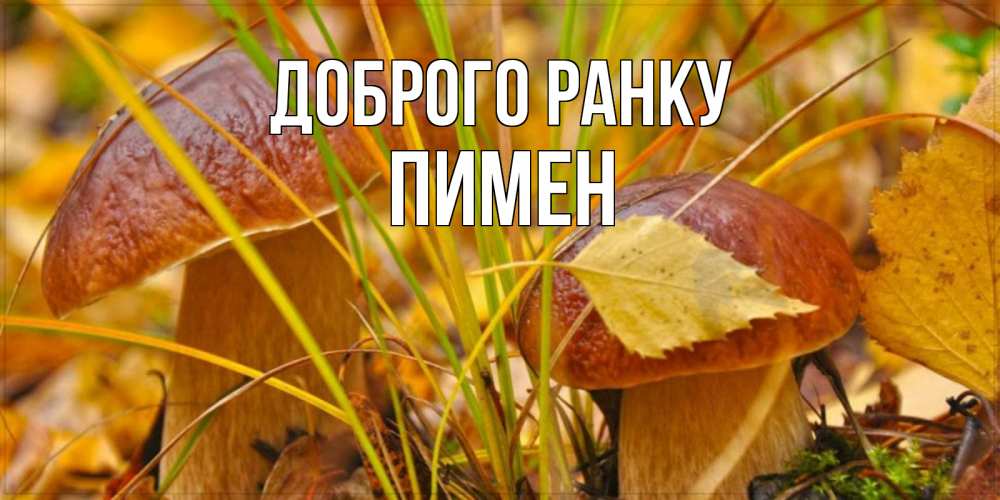 Открытка на каждый день з підписом, Пимен Доброго ранку осенние грибы Прикольна листівка з побажанням онлайн скачати безкоштовно 