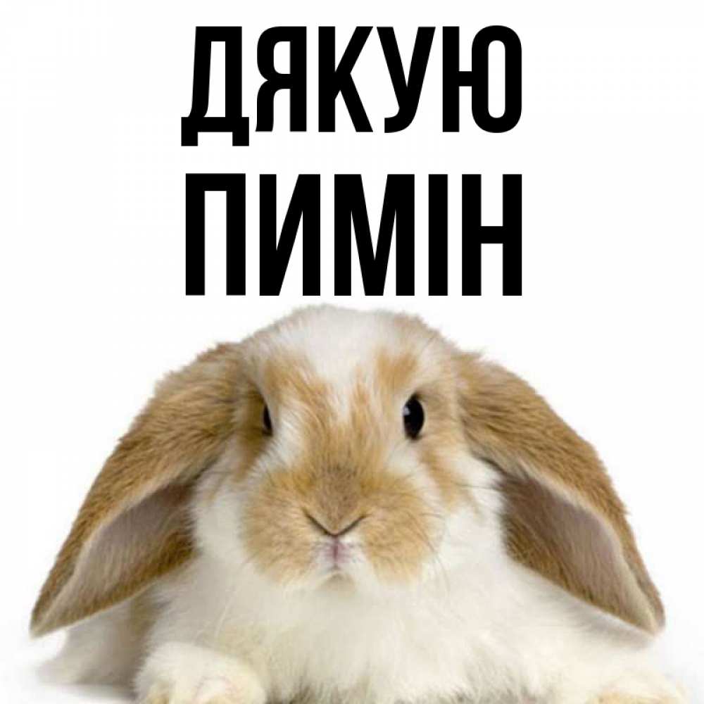 Открытка на каждый день з підписом, Пимін Дякую коричнево белый заяц Прикольна листівка з побажанням онлайн скачати безкоштовно 