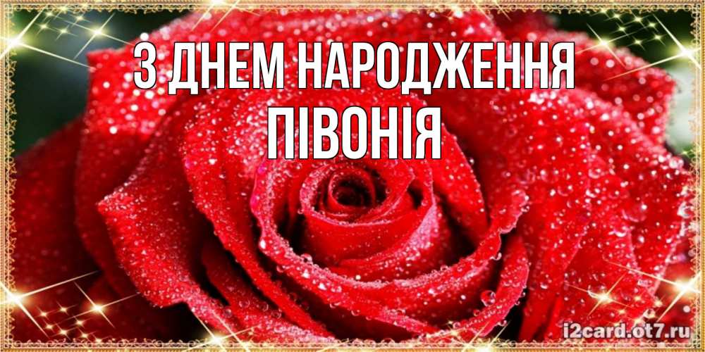 Открытка на каждый день з підписом, Півонія З Днем народження роса и роза. открытка с красивой розой Прикольна листівка з побажанням онлайн скачати безкоштовно 