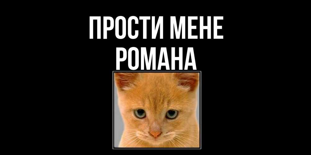 Открытка на каждый день з підписом, Романа Прости мене рыжий грустный кот просит прощения Прикольна листівка з побажанням онлайн скачати безкоштовно 