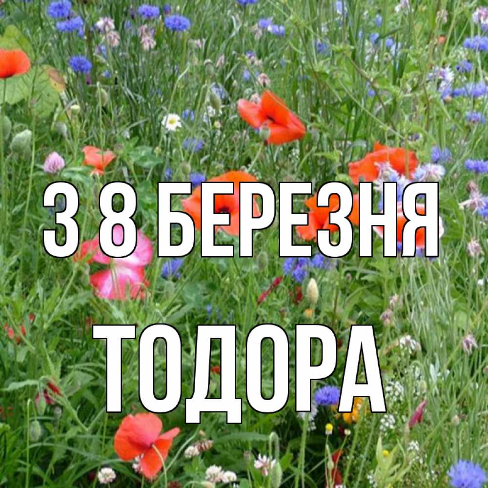 Открытка на каждый день з підписом, Тодора З 8 БЕРЕЗНЯ международный женский день 4 Прикольна листівка з побажанням онлайн скачати безкоштовно 
