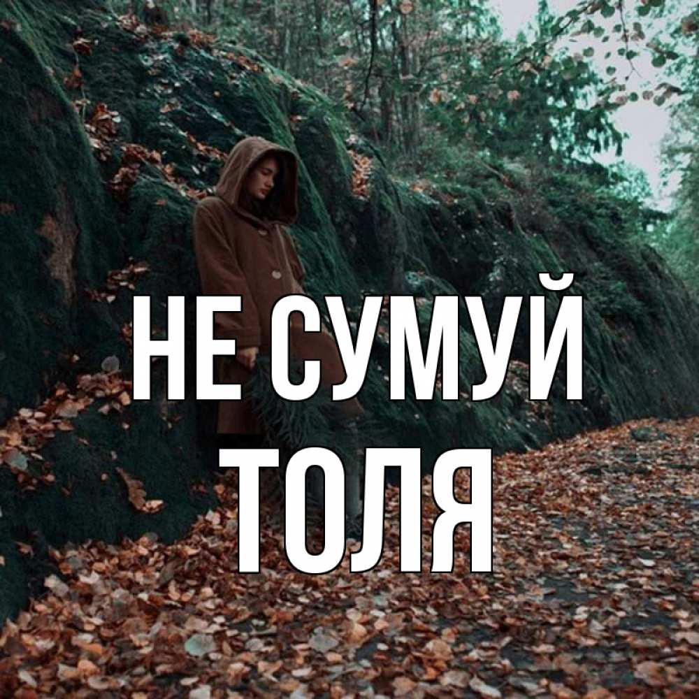 Открытка на каждый день з підписом, Толя Не сумуй осенний лес Прикольна листівка з побажанням онлайн скачати безкоштовно 