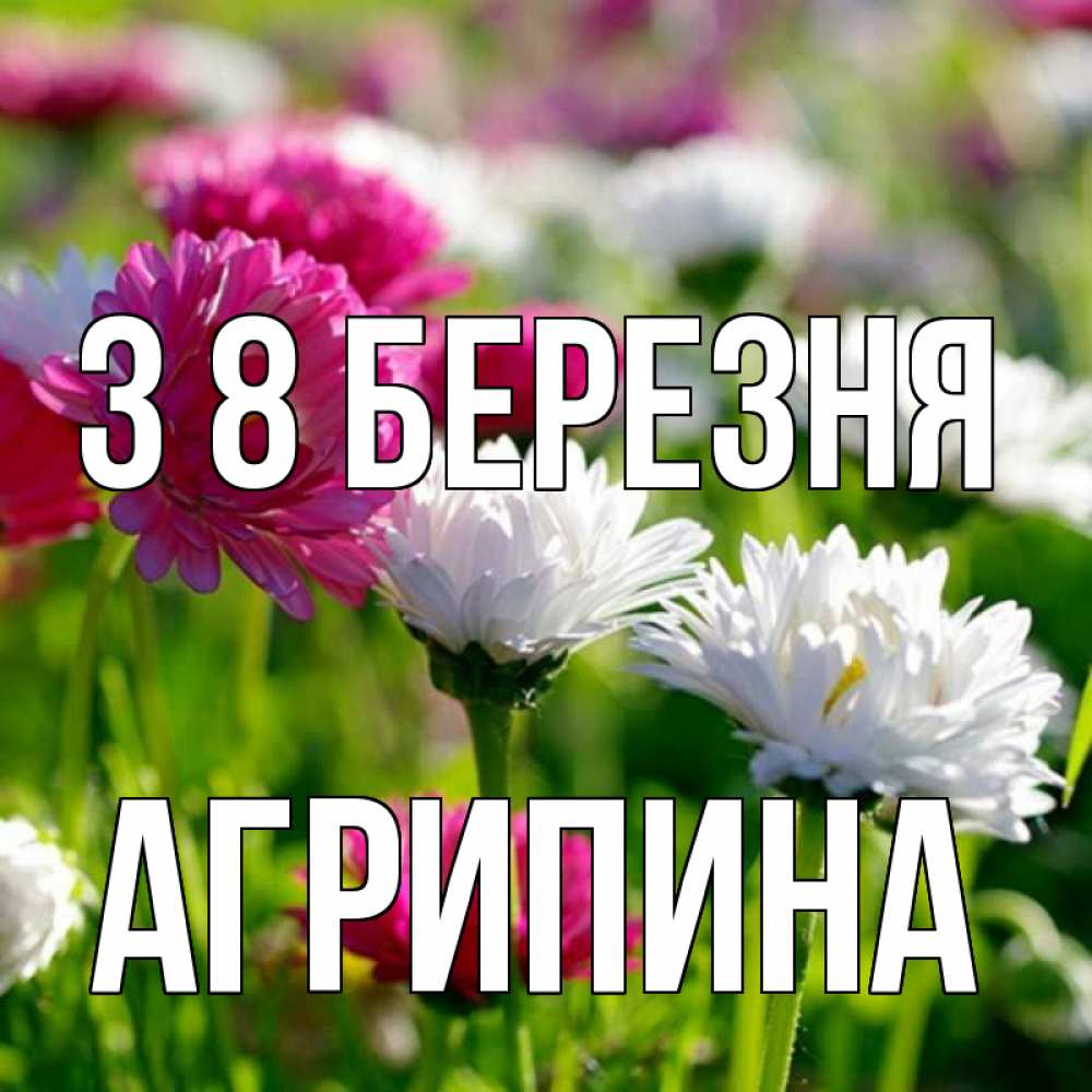 Открытка на каждый день з підписом, Агрипина З 8 БЕРЕЗНЯ международный женский день 1 Прикольна листівка з побажанням онлайн скачати безкоштовно 