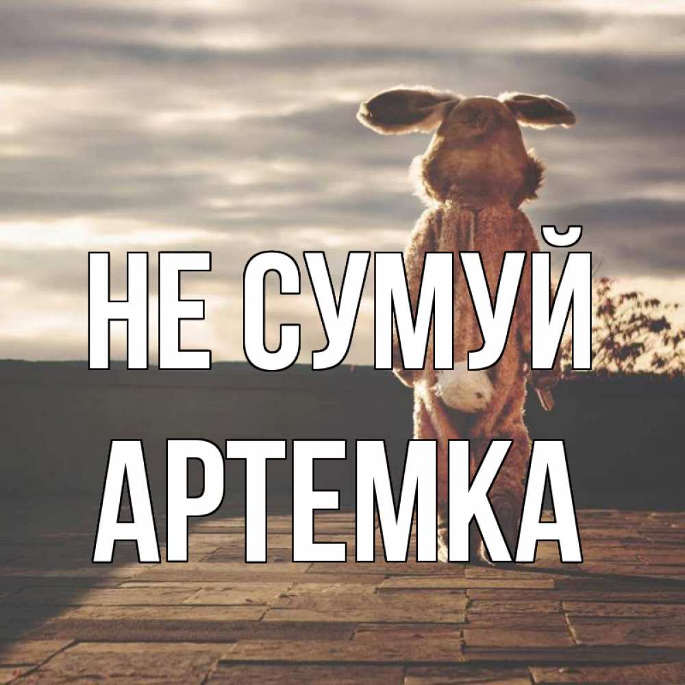 Открытка на каждый день з підписом, Артемка Не сумуй со спины Прикольна листівка з побажанням онлайн скачати безкоштовно 