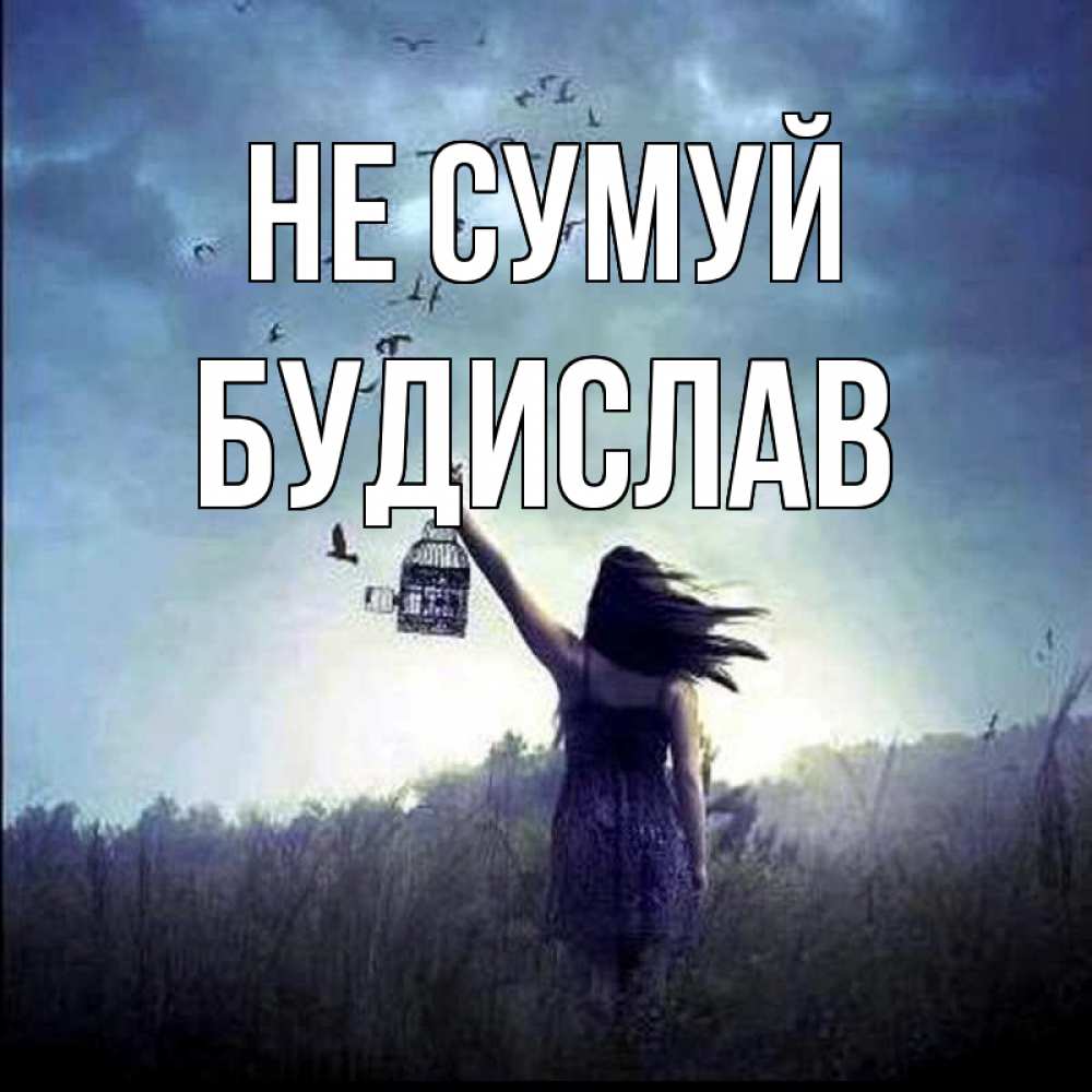 Открытка на каждый день з підписом, Будислав Не сумуй на волю Прикольна листівка з побажанням онлайн скачати безкоштовно 