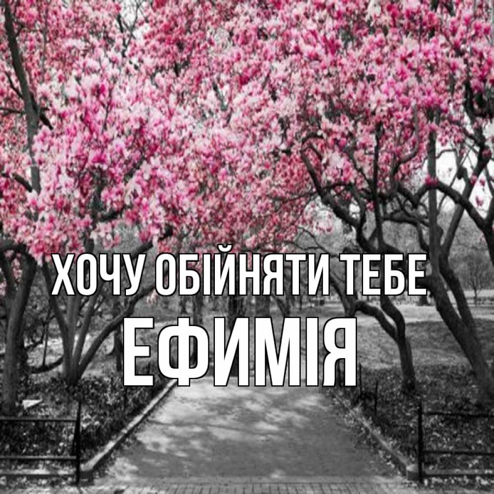 Открытка на каждый день з підписом, Ефимія Хочу обійняти тебе обработанное фото Прикольна листівка з побажанням онлайн скачати безкоштовно 