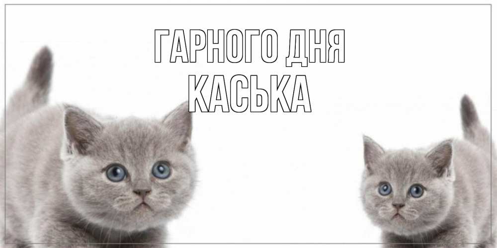 Открытка на каждый день з підписом, Каська Гарного дня открытка с котами Прикольна листівка з побажанням онлайн скачати безкоштовно 
