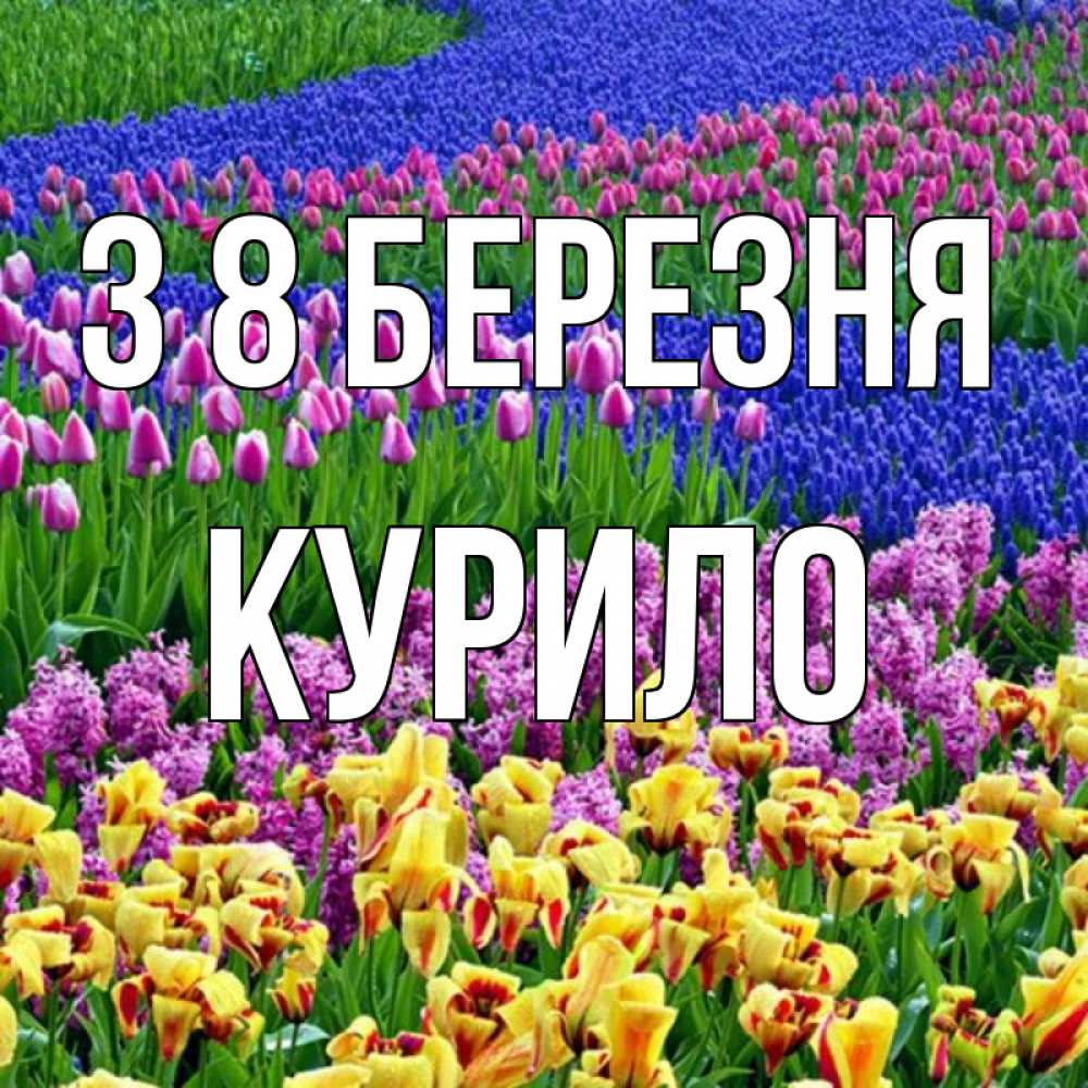 Открытка на каждый день з підписом, Курило З 8 БЕРЕЗНЯ цветы Прикольна листівка з побажанням онлайн скачати безкоштовно 