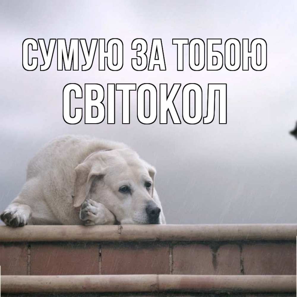 Открытка на каждый день з підписом, Світокол Сумую за тобою ждет Прикольна листівка з побажанням онлайн скачати безкоштовно 