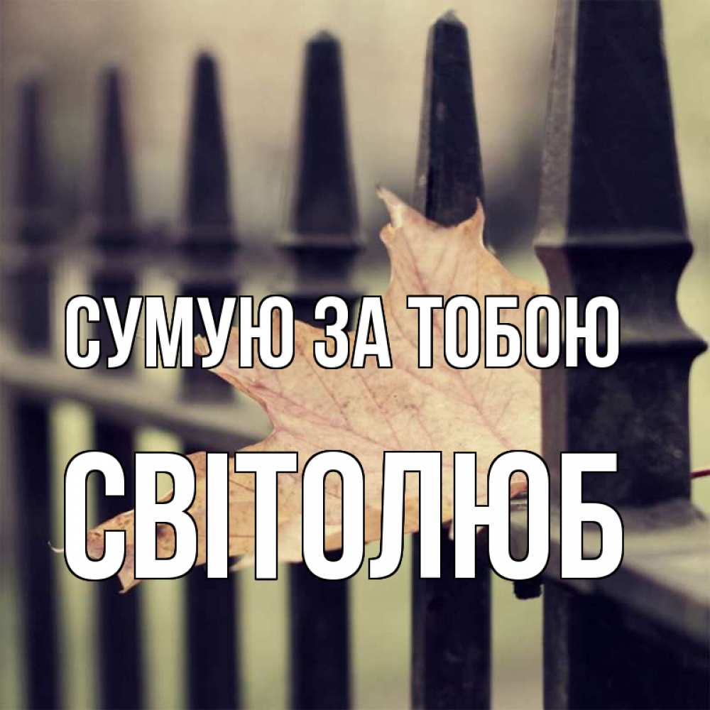 Открытка на каждый день з підписом, Світолюб Сумую за тобою очень скучно Прикольна листівка з побажанням онлайн скачати безкоштовно 