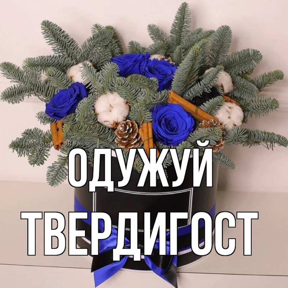 Открытка на каждый день з підписом, Твердигост Одужуй короче кто то загрузил эти шишки Прикольна листівка з побажанням онлайн скачати безкоштовно 