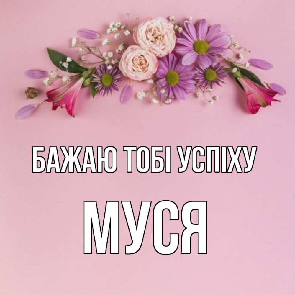 Открытка на каждый день з підписом, Муся Бажаю тобі успіху розовый фон Прикольна листівка з побажанням онлайн скачати безкоштовно 