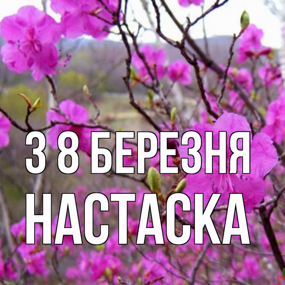 Открытка на каждый день з підписом, Настаска З 8 БЕРЕЗНЯ международный женский день Прикольна листівка з побажанням онлайн скачати безкоштовно 