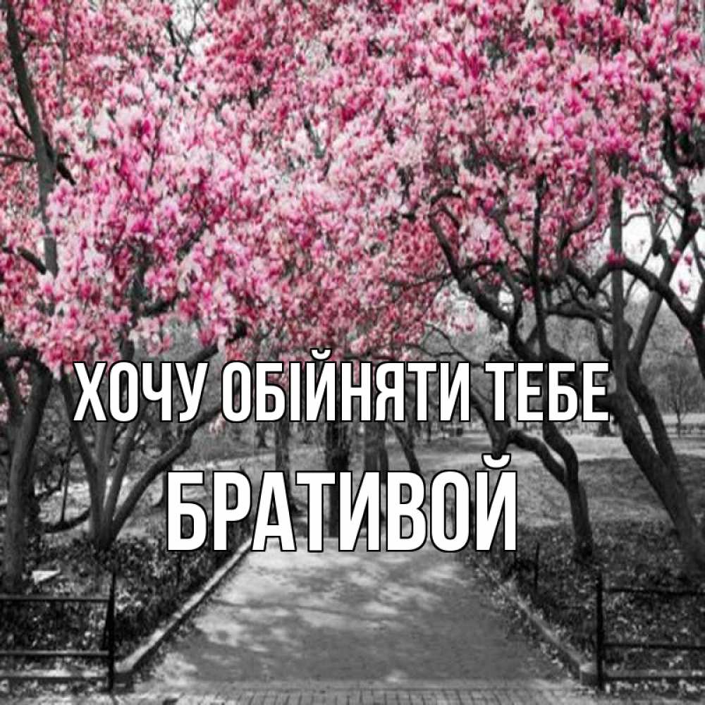 Открытка на каждый день з підписом, Бративой Хочу обійняти тебе обработанное фото Прикольна листівка з побажанням онлайн скачати безкоштовно 