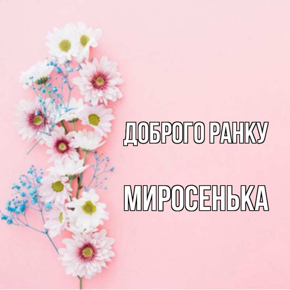 Открытка на каждый день з підписом, Миросенька Доброго ранку цветы с подписью Прикольна листівка з побажанням онлайн скачати безкоштовно 
