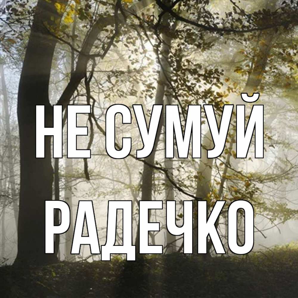 Открытка на каждый день з підписом, Радечко Не сумуй лес и свет Прикольна листівка з побажанням онлайн скачати безкоштовно 